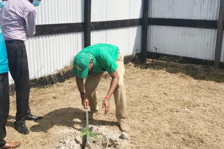 PNCR Leader David Granger planting a seedling during the visit (PNCR photo)
