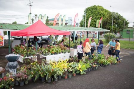 Small farmers have sought to take advantage of the local UNCAPPED event