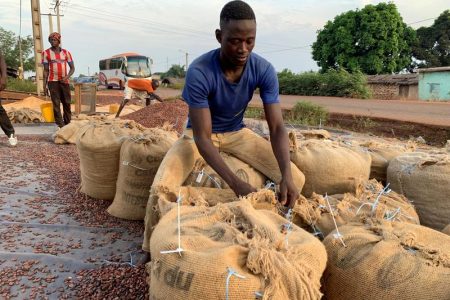 A worker sews up cocoa bags after drying to load them into a truck bound for the port of San Pedro, at a cocoa cooperative in Duekoue, Ivory Coast November 26, 2020. Picture taken November 26, 2020. REUTERS/Ange Aboa/File Photo
