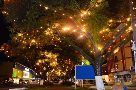 Avenue under the lights: The Main Street Avenue has been brilliantly lit for the Christmas season. (Orlando Charles photo)