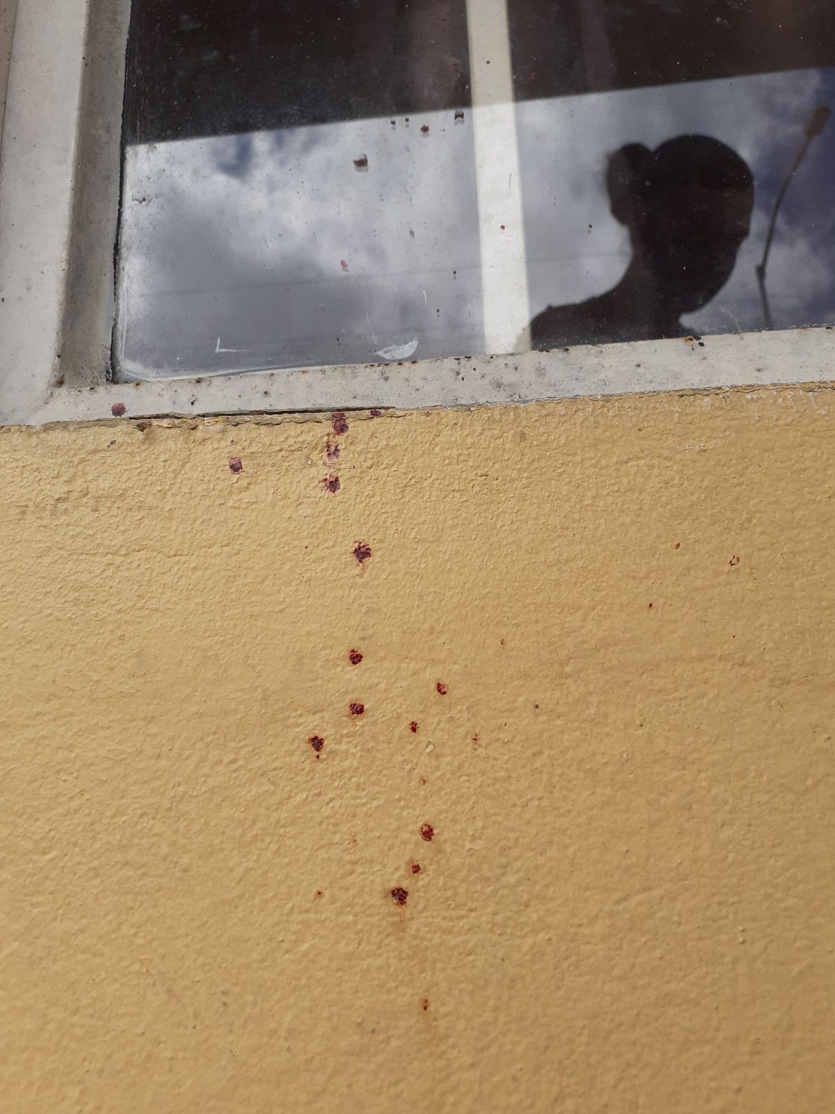 Blood stains on the wall of the home where Stephon Ramnarine was killed by a close friend at Tarodale Gardens, St Madeleine, on Sunday night.

