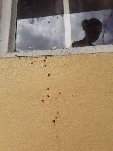 Blood stains on the wall of the home where Stephon Ramnarine was killed by a close friend at Tarodale Gardens, St Madeleine, on Sunday night.