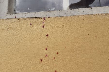 Blood stains on the wall of the home where Stephon Ramnarine was killed by a close friend at Tarodale Gardens, St Madeleine, on Sunday night.