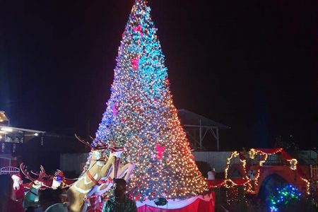 This was the scene at the Tuschen/Uitvlugt Christmas tree lighting last night on the West Demerara.  The event saw prayers from Pastor Naseeb and caroling from his church choir. (Taken from the Facebook page of the Minister in the Ministry of Public Works, Deodat Indar.)
