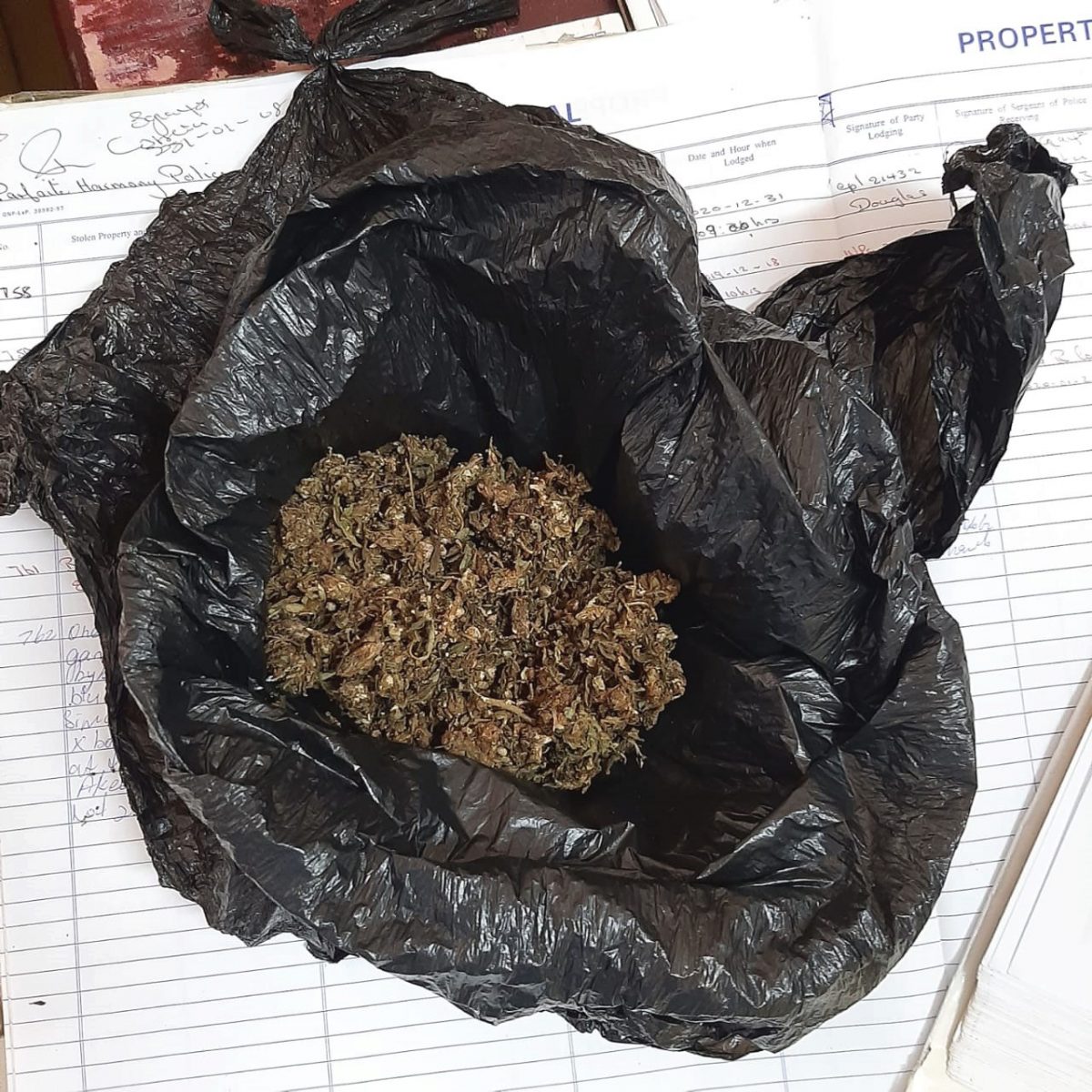 The cannabis that was found. 
