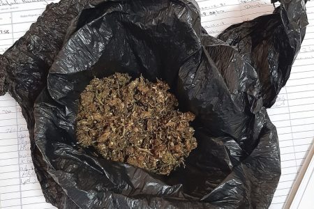 The cannabis that was found. 