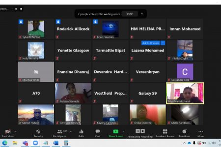 A screenshot of the virtual meeting between the Grade Six teachers and the Ministry of Education 