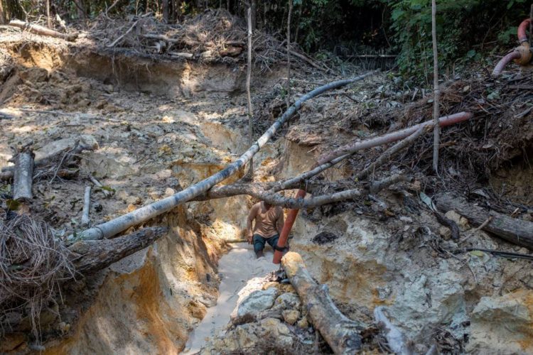 A wildcat gold miner holds a water hose used to break down land and create ravines to mine gold at an illegal mining camp in a protected reserve in the state of Pará, in the Brazilian Amazon, August 20, 2020. Thomson Reuters Foundation/Lucas Landau
