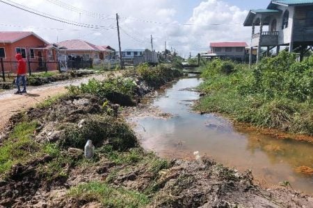 A section of the cleared drains (Ministry of Agriculture photo)