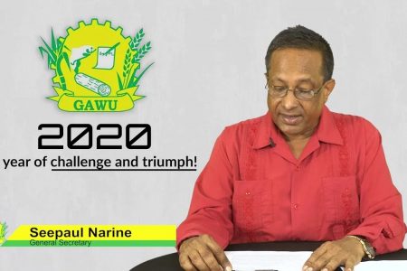 GAWU General Secretary Seepaul Narine delivering the statement.