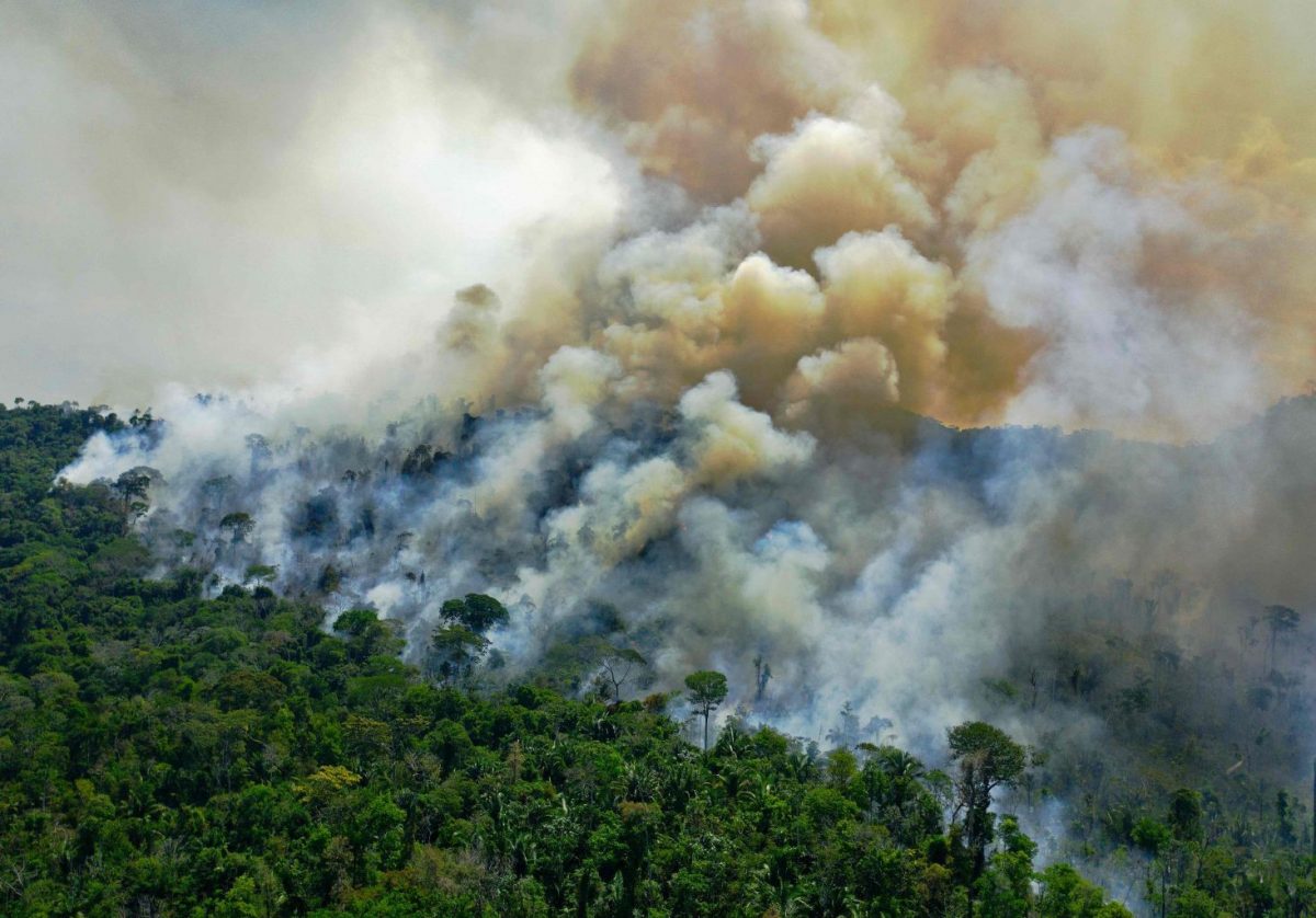 An August 2020 photo shows a burnt area of Amazon rainforest reserve, south of Novo Progresso in Para State, Brazil.PHOTO: AFP