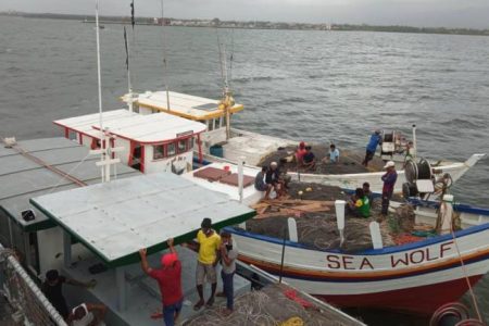 Fishermen released