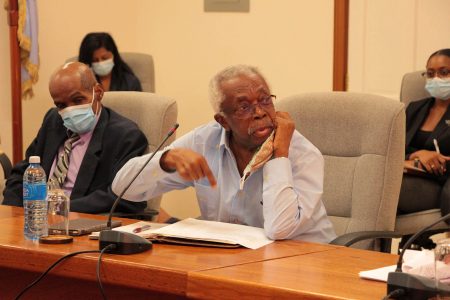 Cedric Joseph (right) at the meeting. At left is Duke Pollard.  (Ministry of Foreign Affairs photo)