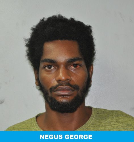 Negus George