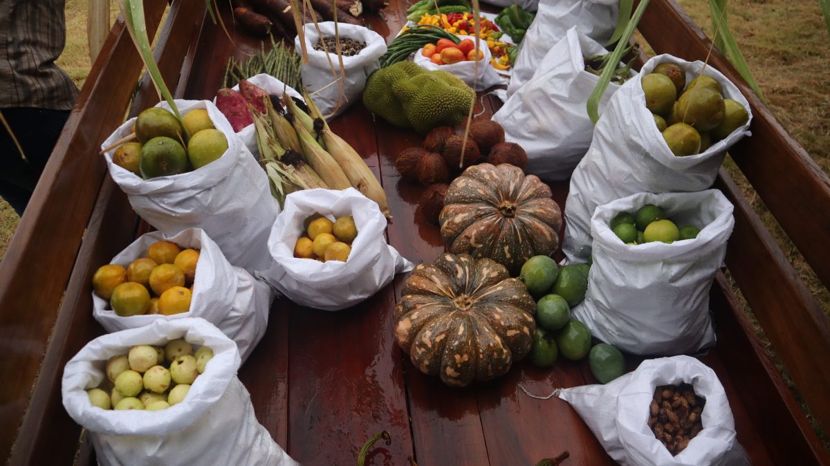 Some of the Santa Fe produce (Ministry of Agriculture photo)
