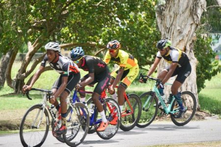 Cyclists will be back in action tomorrow in a 50-mile road race from CARIFESTA Avenue to Mahaica and back.
