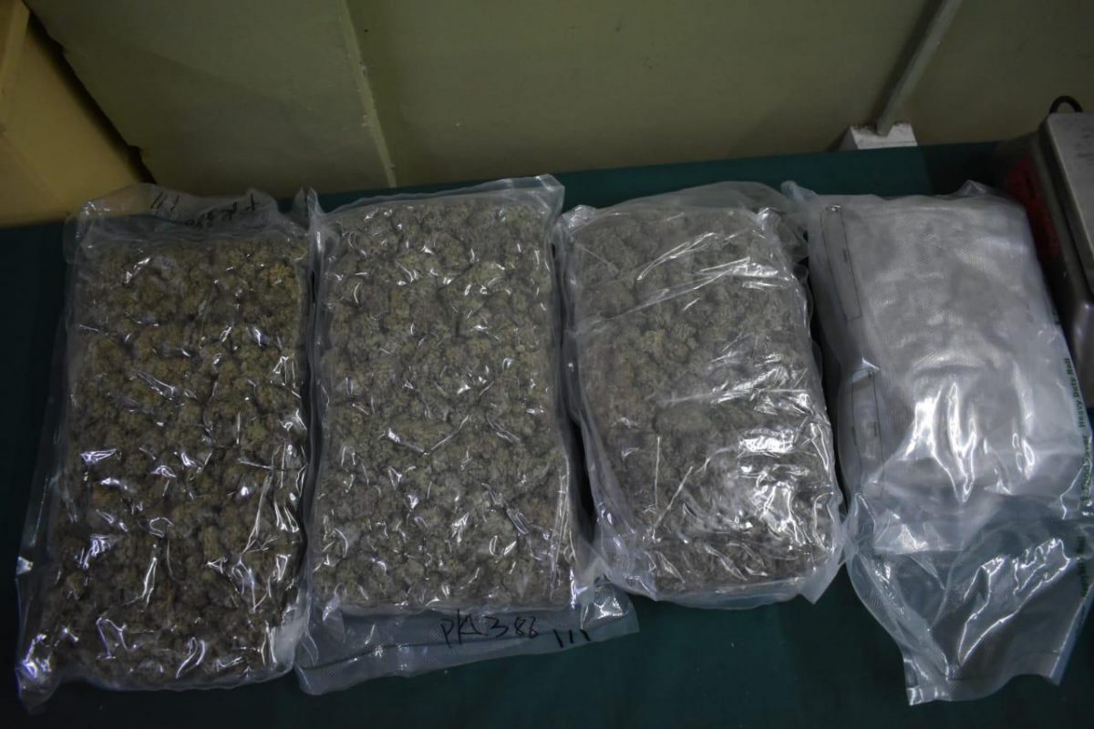 The parcels of compressed marijuana which were found. (CANU photo)