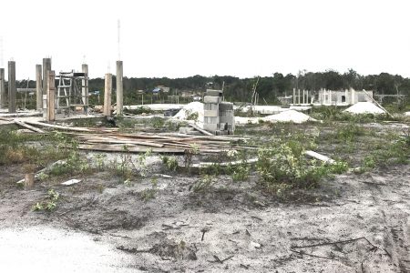Incomplete structures in the Amelia’s Ward housing development
