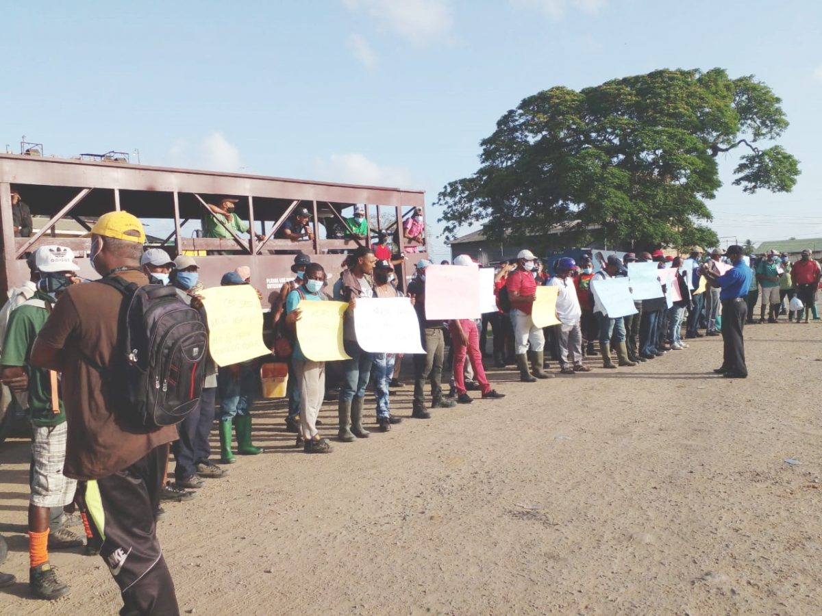 Workers protesting outside the Blairmont Estate yesterday (GAWU photo)
