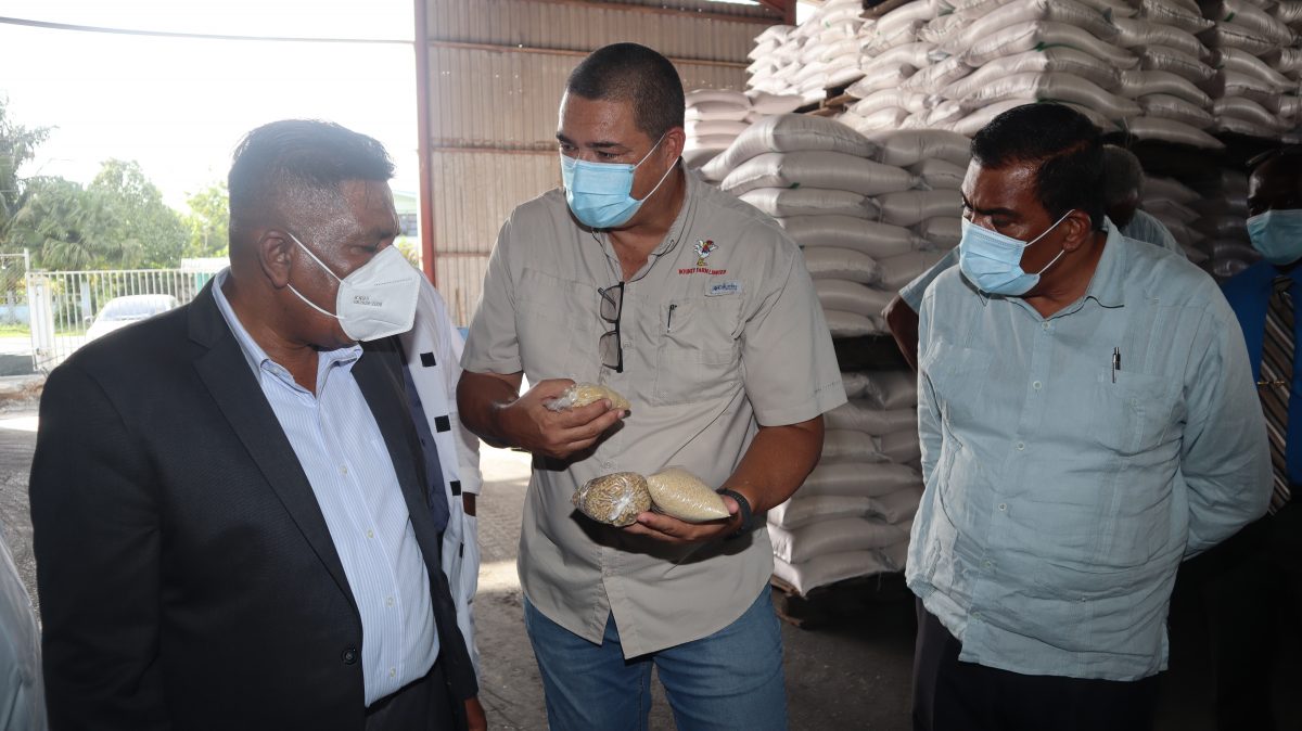 Bounty Farm Assistant Managing Director David Fernandes (centre) in dialogue with Minister of Agriculture Zulfikar Mustapha (left) and   ministry Director General Madanlall Ramraj. (Ministry of Agriculture photo)