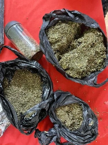 The cannabis that was found (CANU photo)
