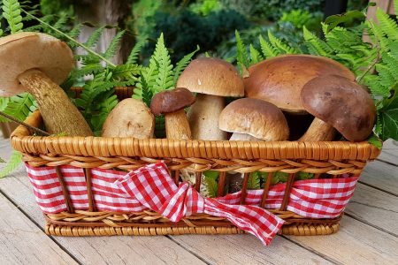 Next time you make a salad, you might want to consider adding mushrooms to it