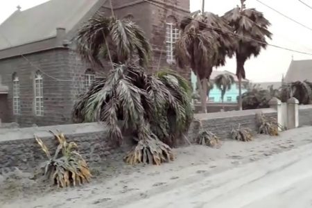 Ash covers palm trees and a church a day after the La Soufriere volcano erupted after decades of inactivity, about 5 miles (8 km) away in Georgetown, St Vincent and the Grenadines April 10, 2021 in a still image from video. REUTERS/Robertson S. Henry/File Photo