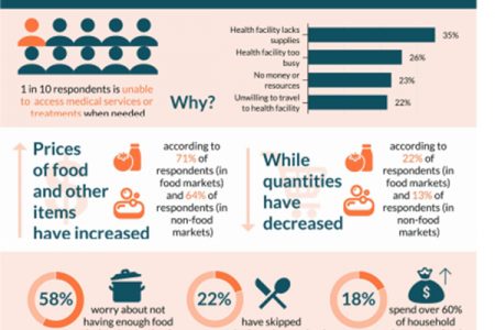 An infographic from the Socio-Economic Impact Assessment of COVID-19 on Households in Guyana showing the impact of the pandemic on access to basic services 