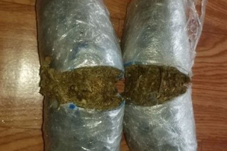 The suspected cannabis that was seized at Itaballi