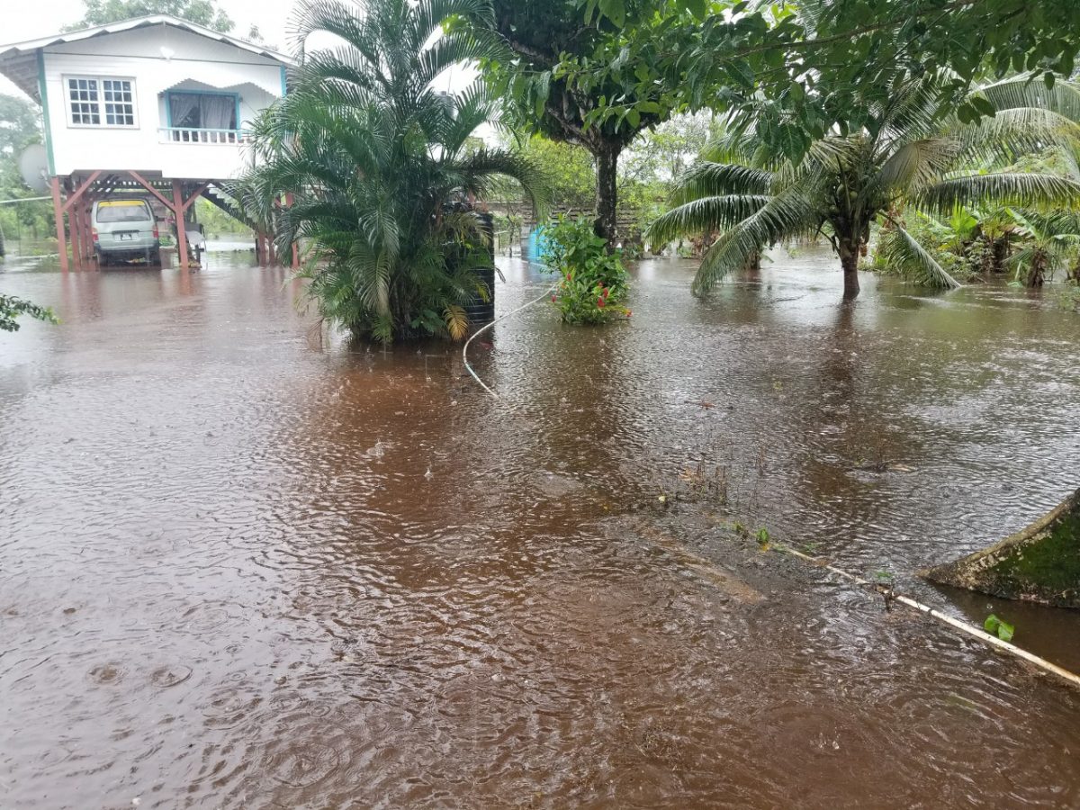 A flooded yard in Region One

