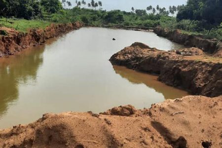 A section of the reef from which sand was removed for the project