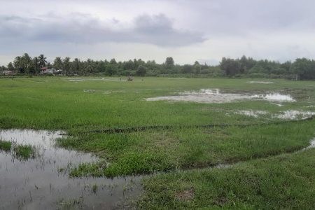 Reliance Ground was transformed into a pond following the heavy rainfall.