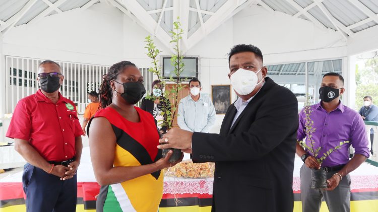 Agriculture Minister Zulfikar Mustapha (right) handing over a seedling. (Ministry of Agriculture photo)