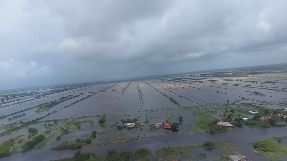 Submerged rice farm land at Mora Point (Paul Durga photo) 