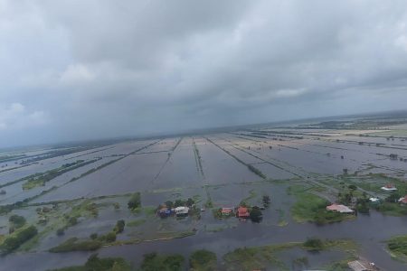 Submerged rice farm land at Mora Point (Paul Durga photo) 