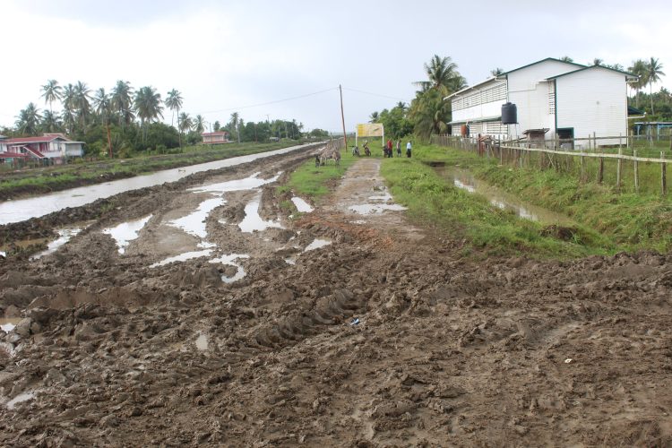 The entrance to the Lesbeholden Primary School in Black Bush Polder.