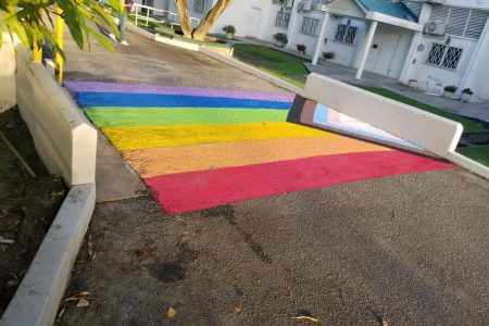 The pride flag painting on the driveway