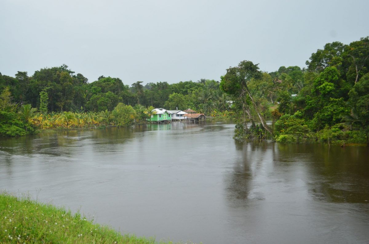 The swollen Pomeroon River at Karawab where the land and the river are one (Orlando Charles photo)