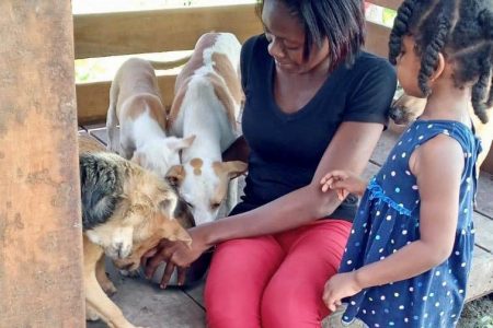 Winella and her daughter feeding some of the dogs