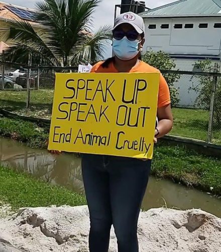 A protestor with a placard calling for an end to animal cruelty (Image from the Tails of Hope Facebook page)
