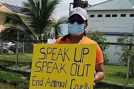 A protestor with a placard calling for an end to animal cruelty (Image from the Tails of Hope Facebook page)
