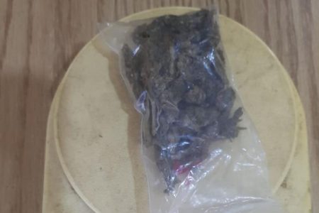 The cannabis that was discovered during the raid. 