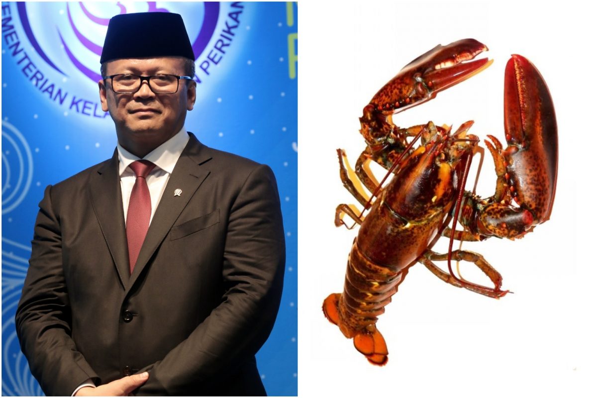 Edhy Prabowo had reversed a ban on the export of lobster larvae, igniting criticism over sustainability concerns.PHOTOS: THE JAKARTA POST/ASIA NEWS NETWORK, PIXABAY