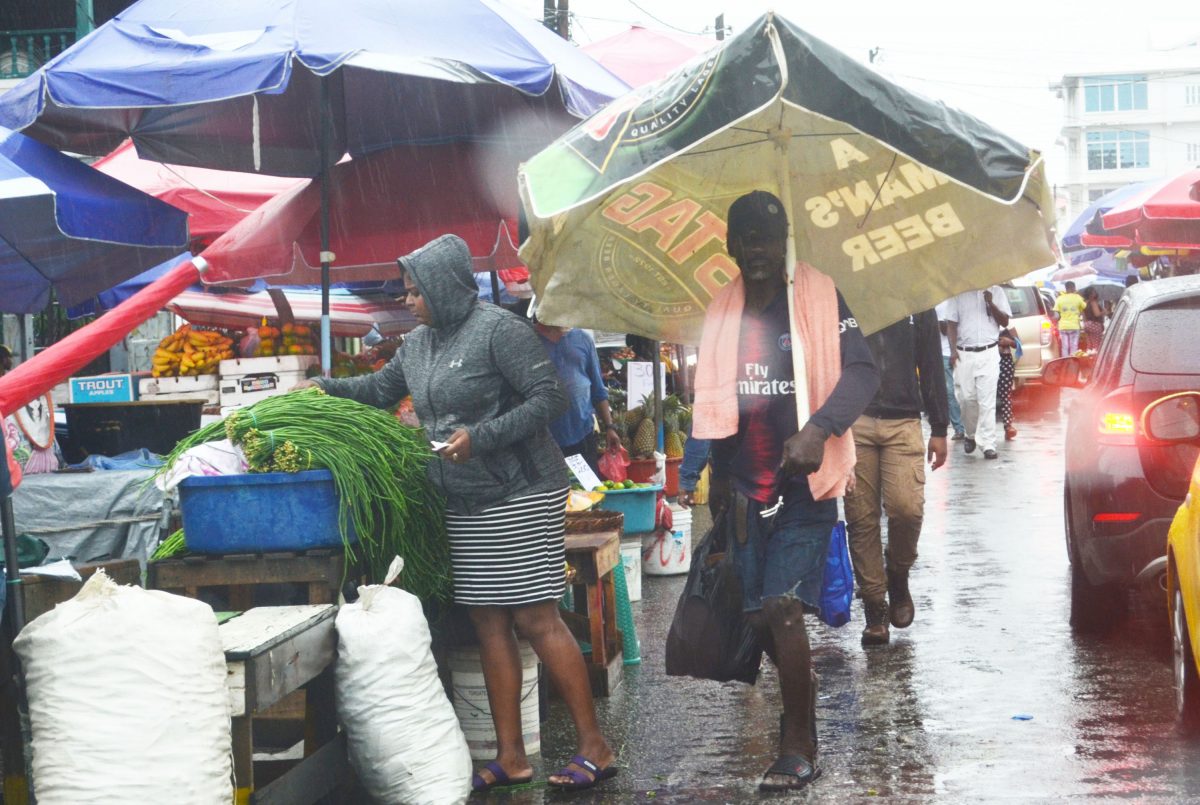 Yesterday’s rain in the city saw this man at the Bourda Market staying dry under this gigantic umbrella. 