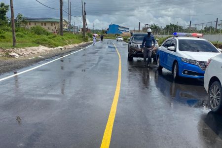 The rehabilitated Washer Pond Road