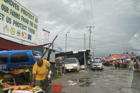 Vendors continuing to sell at the Anna Regina Market 