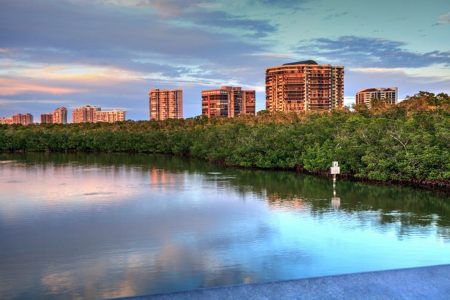 Coastal wetlands can absorb storm energy in ways neither solid land nor open water can. Shutterstock