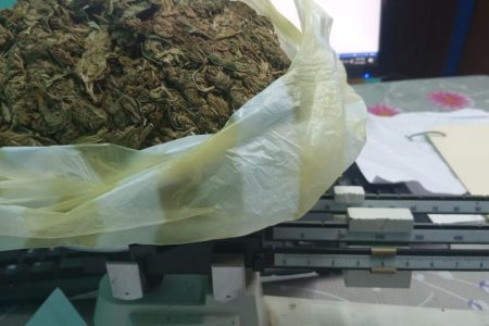 The cannabis found in the suspect’s haversack
