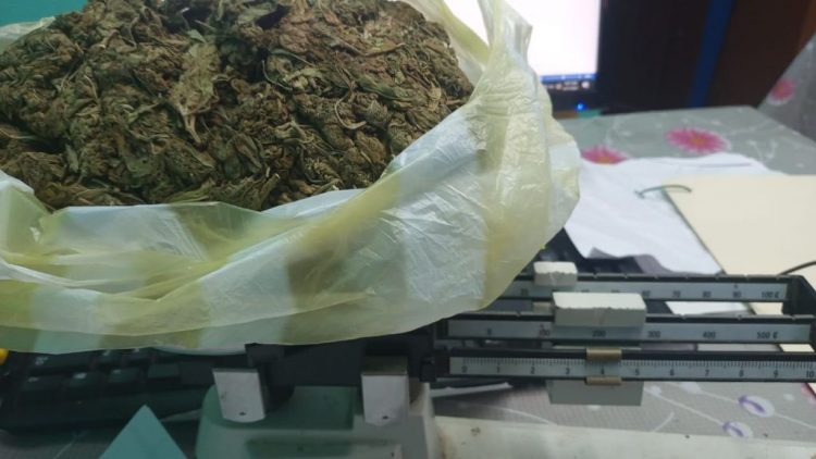 The cannabis found in the suspect’s haversack
