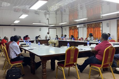 Minister of Tourism, Industry and Commerce Oneidge Walrond speaking to members of the Region Two Regional Democratic Council at a recent meeting